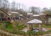 Puy du fou3